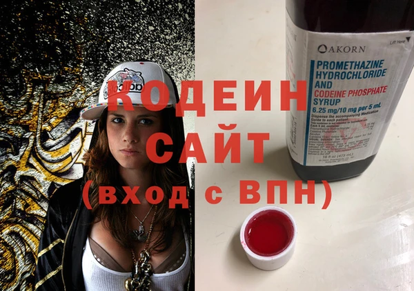 шишки Володарск