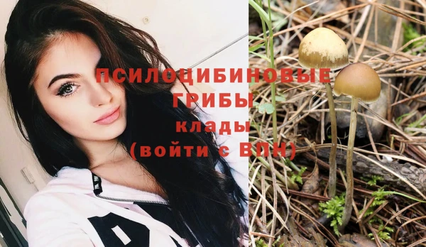 гидропоника Белая Холуница