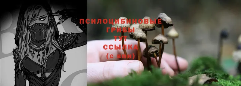 Галлюциногенные грибы MAGIC MUSHROOMS  blacksprut   Злынка 