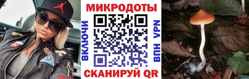 Галлюциногенные грибы мухоморы  МЕГА ссылка  Злынка 
